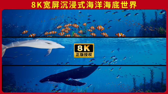 8K宽屏沉浸式海洋海底世界水族馆鲸鱼鱼群