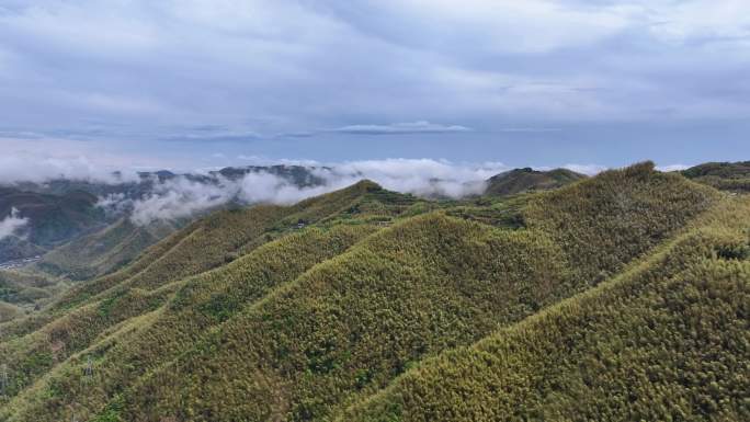 航拍云雾中的四明山山村，屏保视频