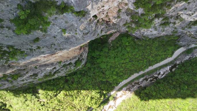 航拍4k森林悬崖俯冲视角