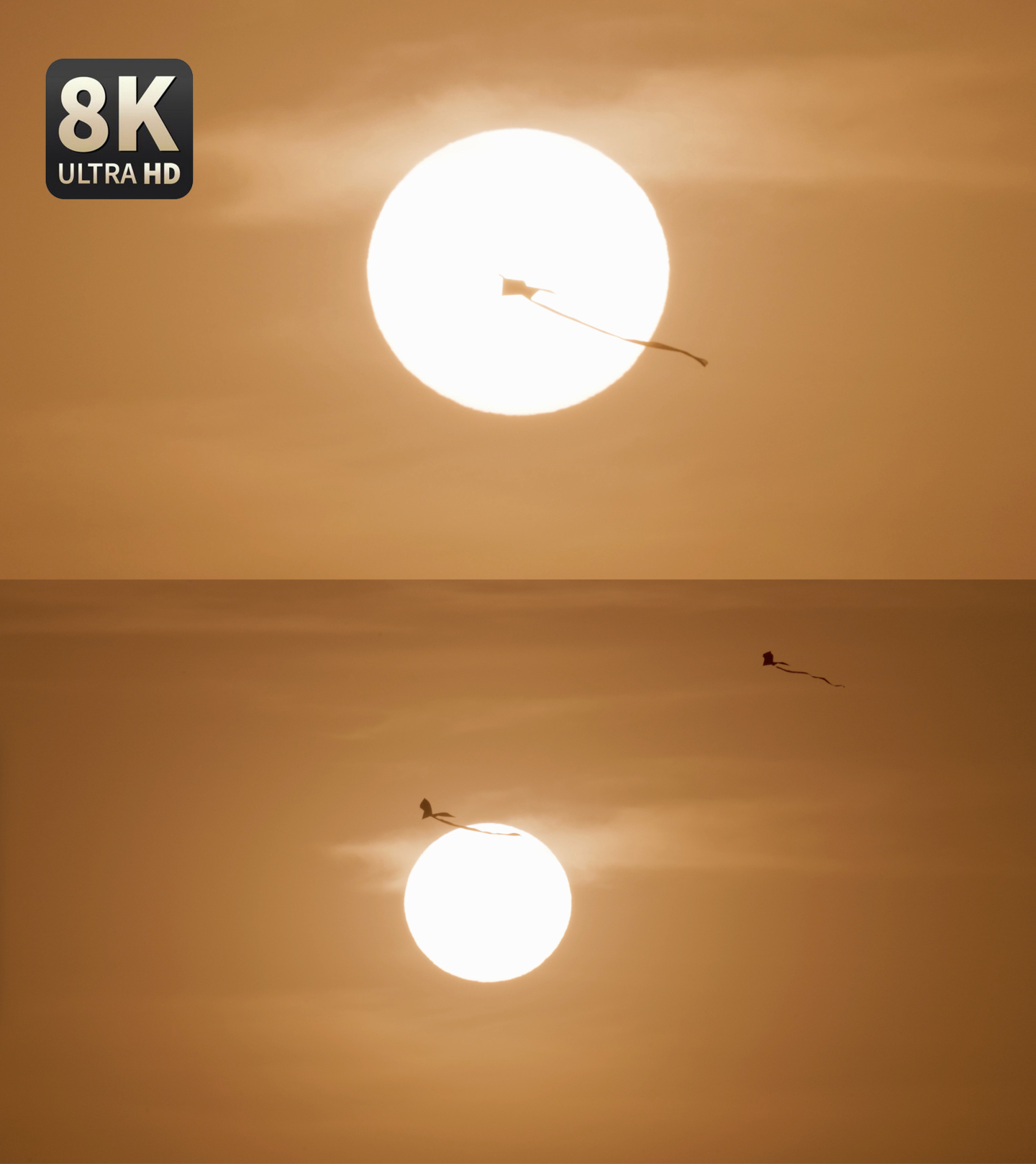 【8K】太阳与风筝