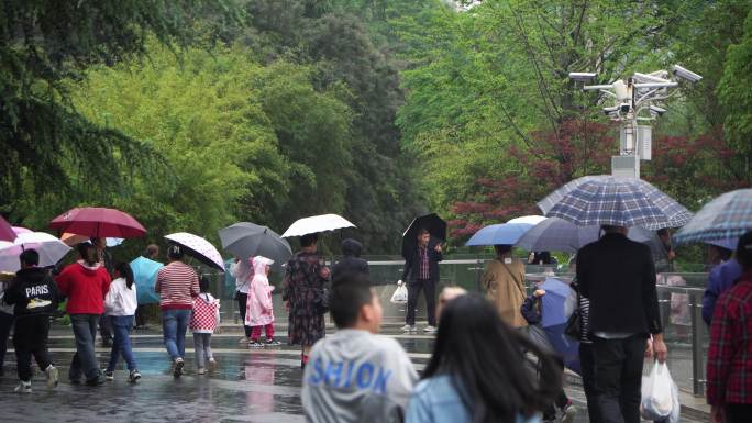 下雨打伞 人来人往斑