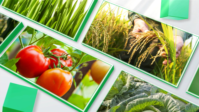 绿色环保生态农业3D多图排列照片墙展示