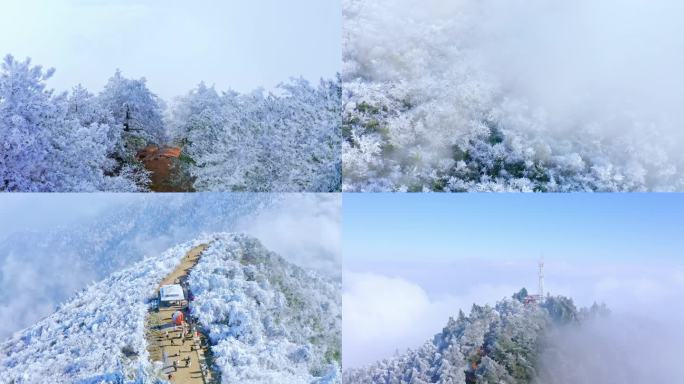 畲乡景宁敕木山雪景4k航拍