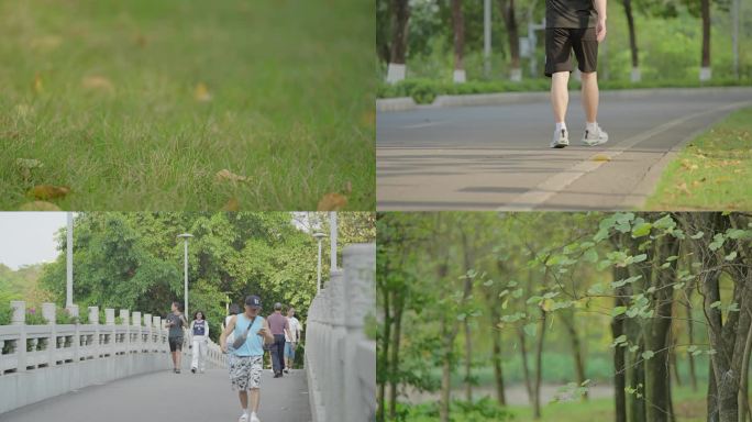 公园养生跑步