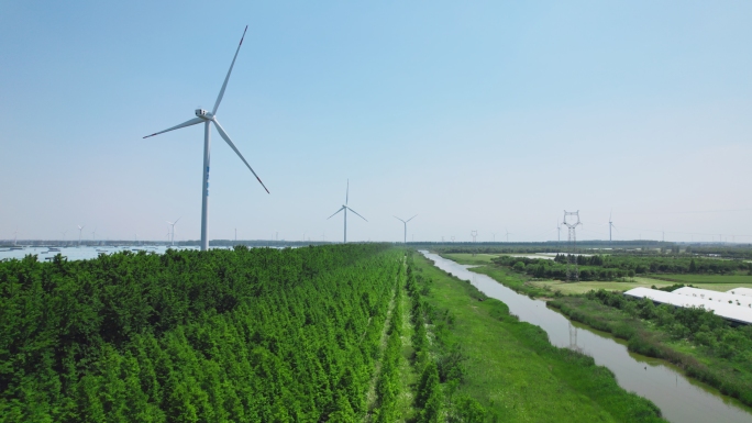 【合集】新能源 风力发电 清洁能源