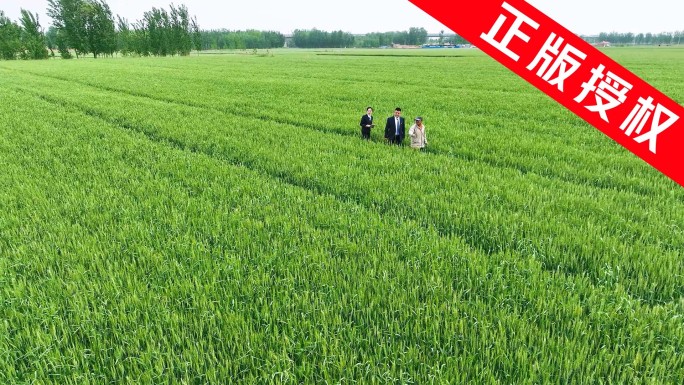 农业调研 走访考察 企业合作