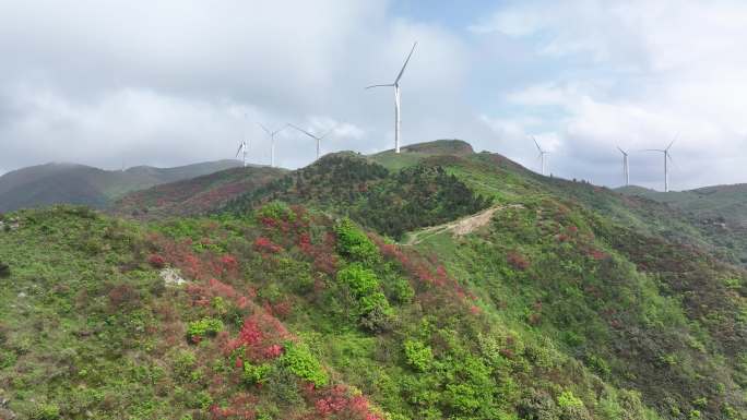 4K多场景航拍湖南省常宁天堂山的春天