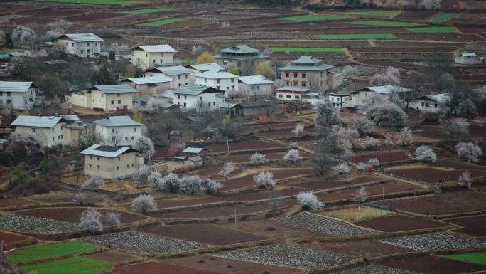 云南香格里拉尼西汤堆村传统藏族村落远景