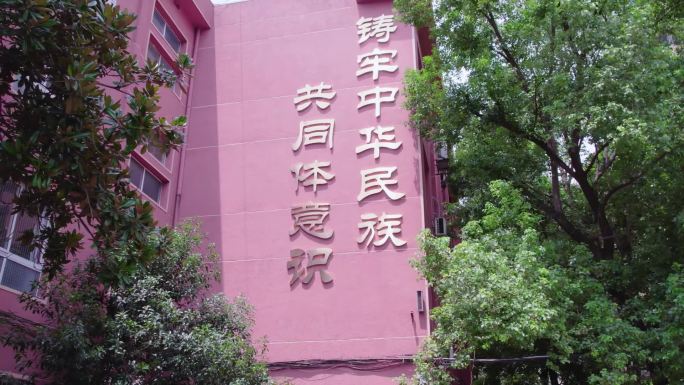 长沙雨花区桔园小学民族团结石榴雕塑