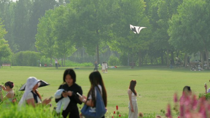 「4K电影感」北京海淀公园莫奈花园花海