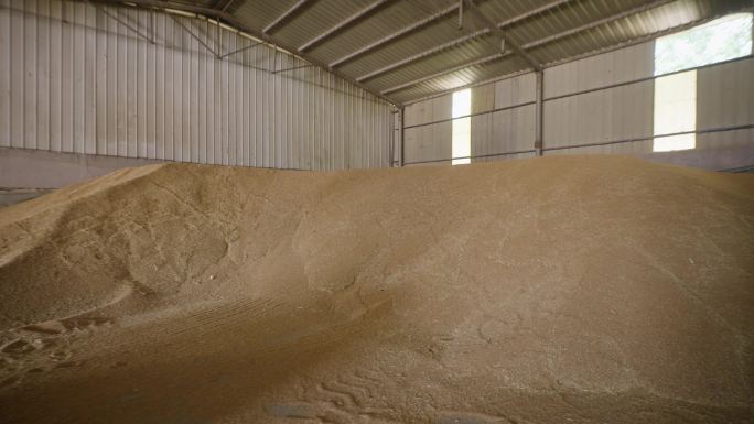 基层粮点小麦储存仓库