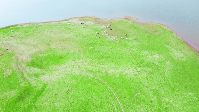 沂水 跋山水库  草坪水库