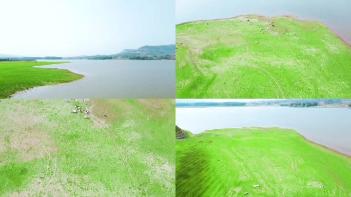 沂水 跋山水库  草坪水库