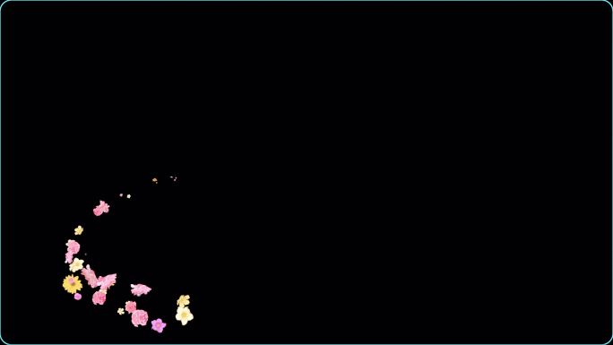 【mov】各种鲜花粒子冲屏动画素材