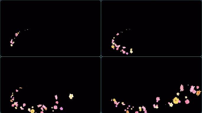【mov】各种鲜花粒子冲屏动画素材