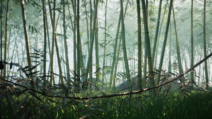 个人原创4K商用无忧国风竹林场景