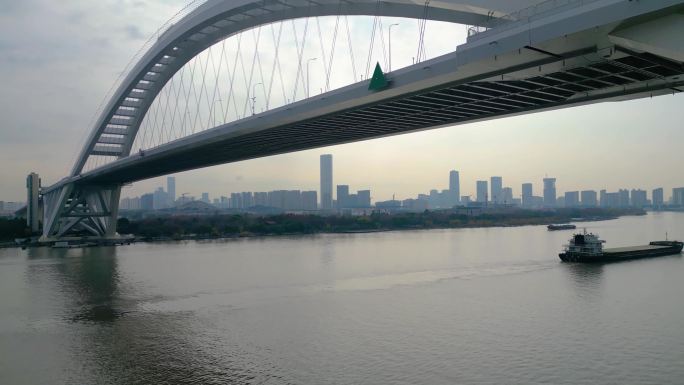 上海市黄浦区鲁班路立交桥卢浦大桥汽车车辆