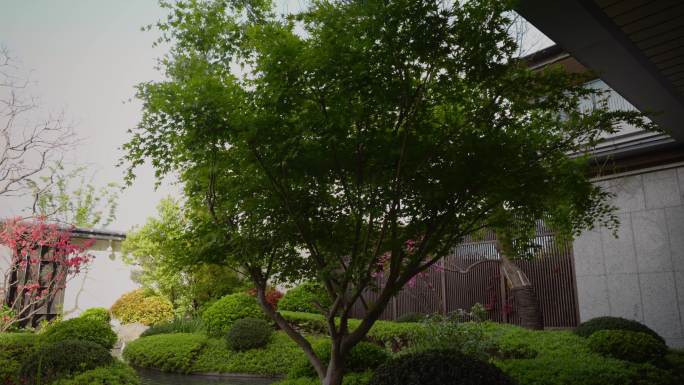 新中式水系园林景观绿植凉亭水上庭院