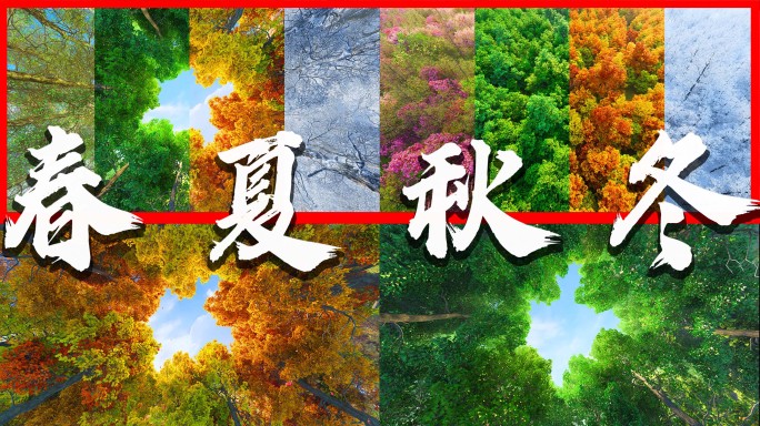 四季变换四季变化一年四季春夏秋冬时光流逝