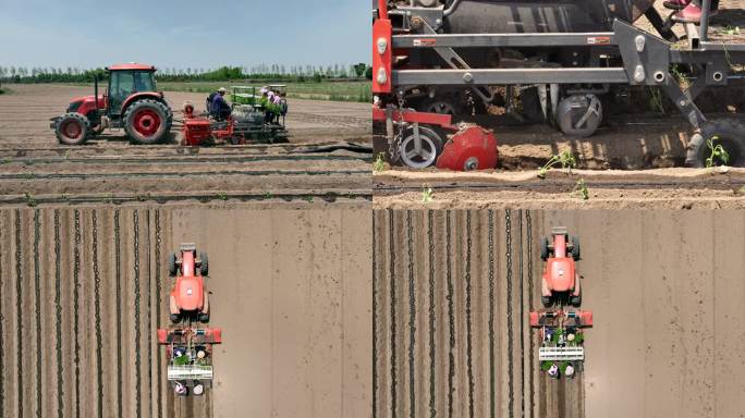 现代农业机械插苗