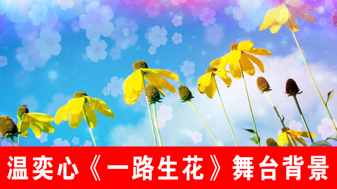 一路生花-温奕心（声画同步）