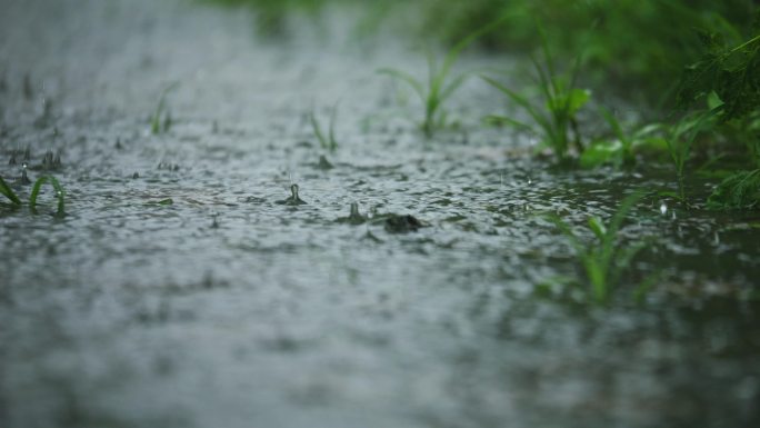 唯美意境小雨 雨 雨滴 雨水