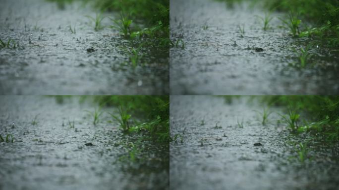 唯美意境小雨 雨 雨滴 雨水