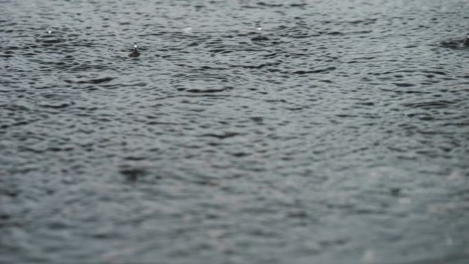 小雨 雨 雨滴 雨水 地面积水