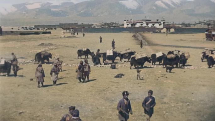 解放前的西藏 牦牛运输（4K修复）