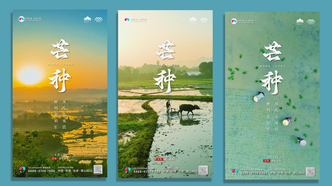 芒种二十四节气