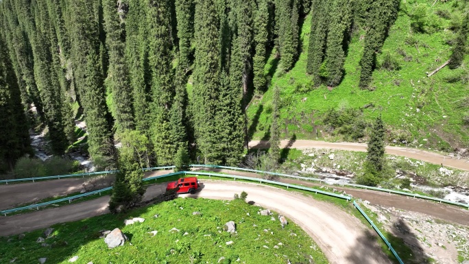 越野车穿梭在新疆恰西国家森林公园夏塔环线