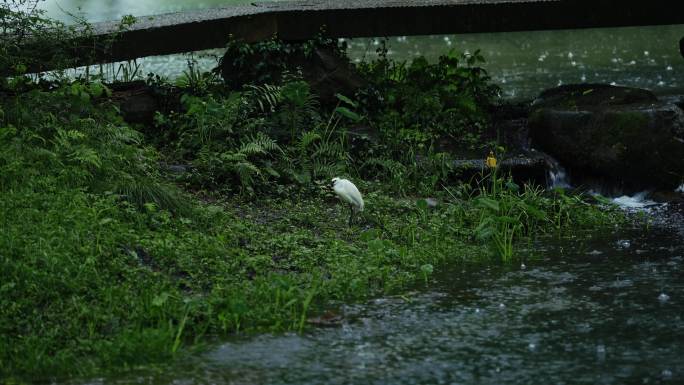 烟雨江南—杭州西湖茅家埠