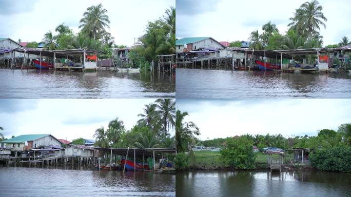 马来西亚亚庇红树林