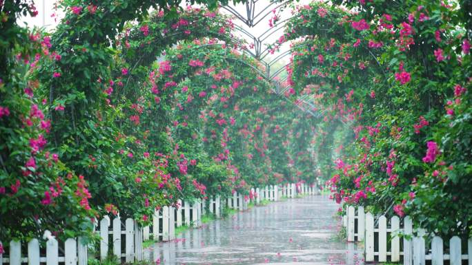 花廊雨景