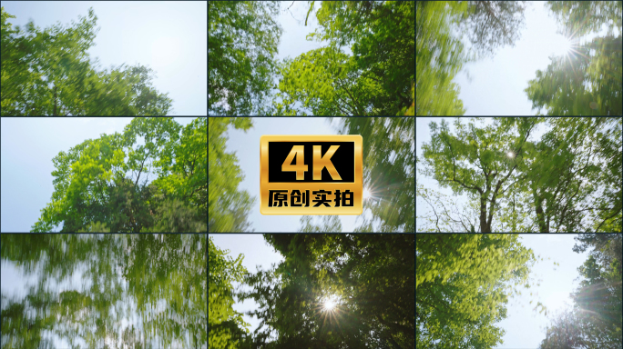 车窗外快速行驶移动模糊阳光透过树林树叶