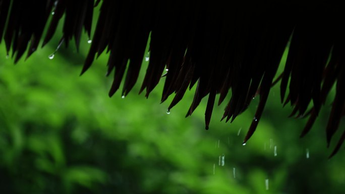 烟雨江南—杭州西湖茅家埠