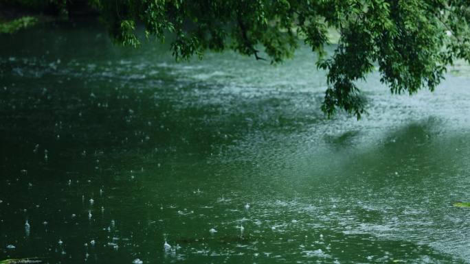 烟雨江南—杭州西湖茅家埠