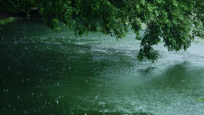 烟雨江南—杭州西湖茅家埠