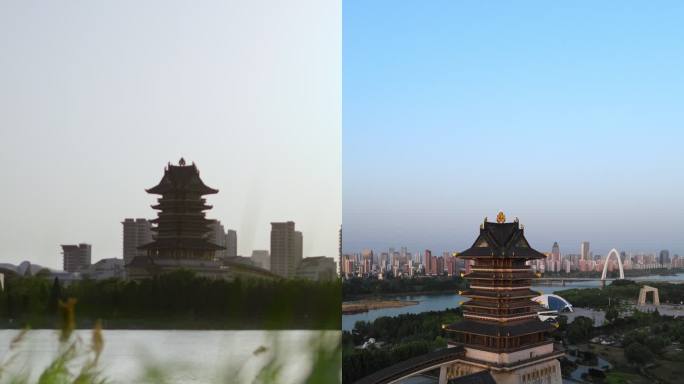 「临沂」航拍书圣阁夜景 竖屏