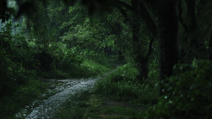 烟雨江南—杭州西湖茅家埠