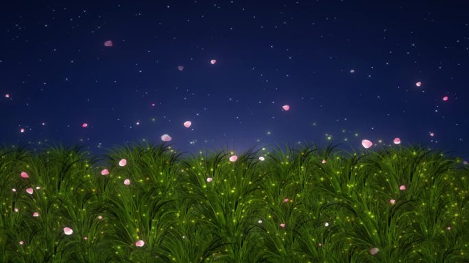 草地夜空花瓣飞舞