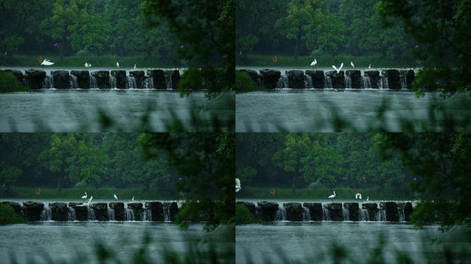 烟雨江南—杭州西湖茅家埠