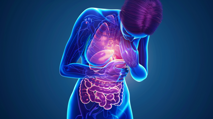 肠胃调理肠胃健康消化系统胃病预防肠道疾病