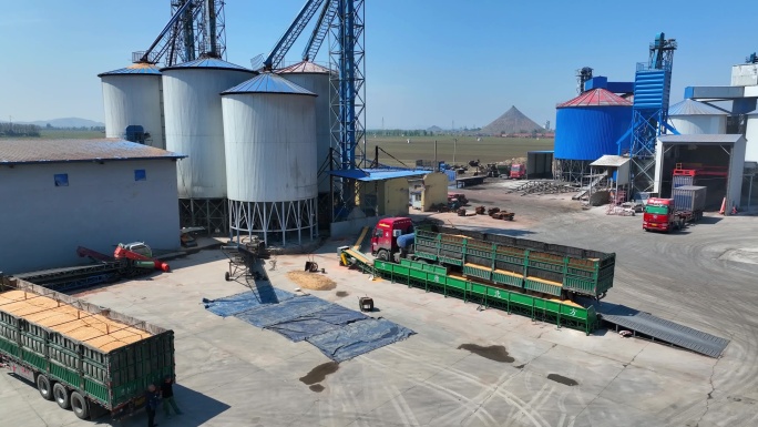 粮库 玉米 粮食丰收 玉米降格 玉米升格