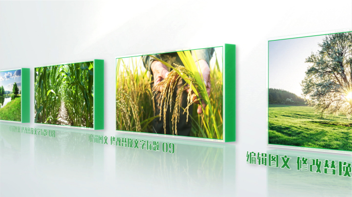 绿色生态农业多图文回顾三维立体照片墙轮播