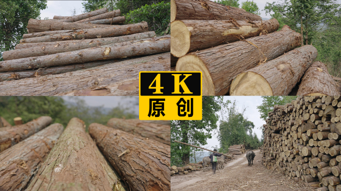 路边堆放的木材木料