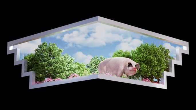 裸眼3D L屏幕 猪 动物 植物 森林