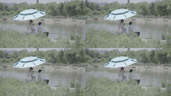 鱼塘钓鱼遮阳伞