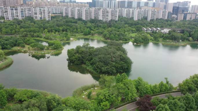 航拍成都 高新区 锦城湖 生态公园