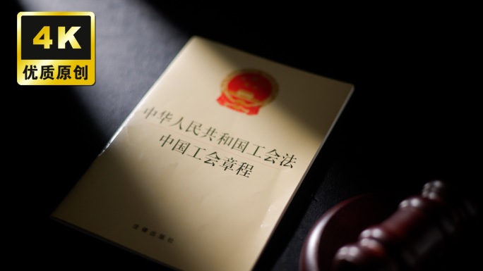 中国工会章程国家工会法维护职工的合法权益